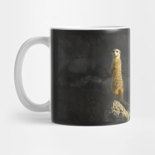 Alert Mug